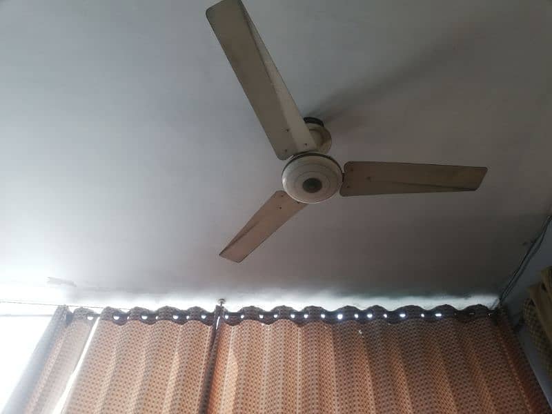 celling fans for sale 0