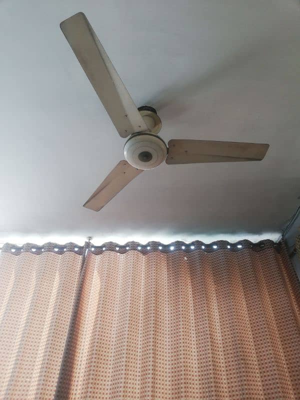 celling fans for sale 1