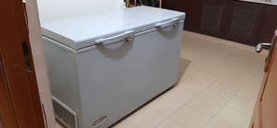 WAVES double door freezer