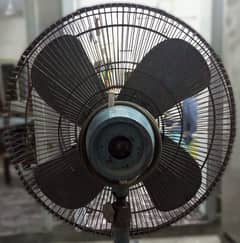 Pedestal Fan