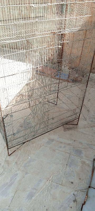 parrots cage 1