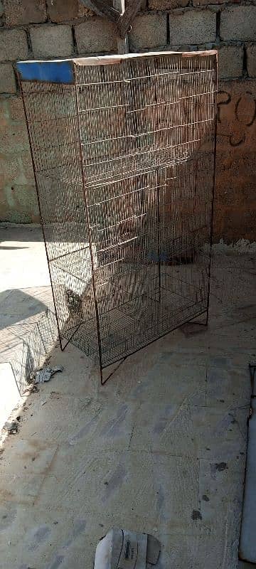 parrots cage 3