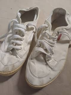 Selling original levis shoes