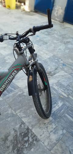 Mountain Bike