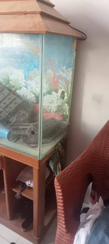 aquarium for sale 1