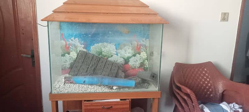 aquarium for sale 3