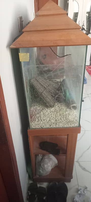 aquarium for sale 5