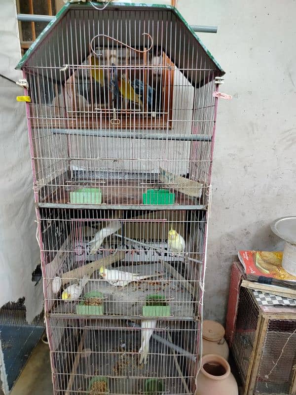 cocktail setup for sell cage for sale 4