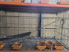 8 boxes cage 0