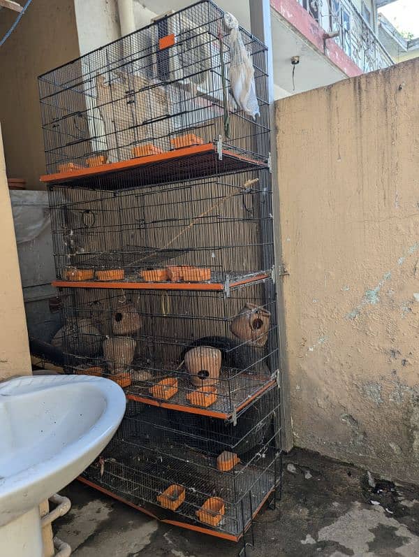 8 boxes cage 1