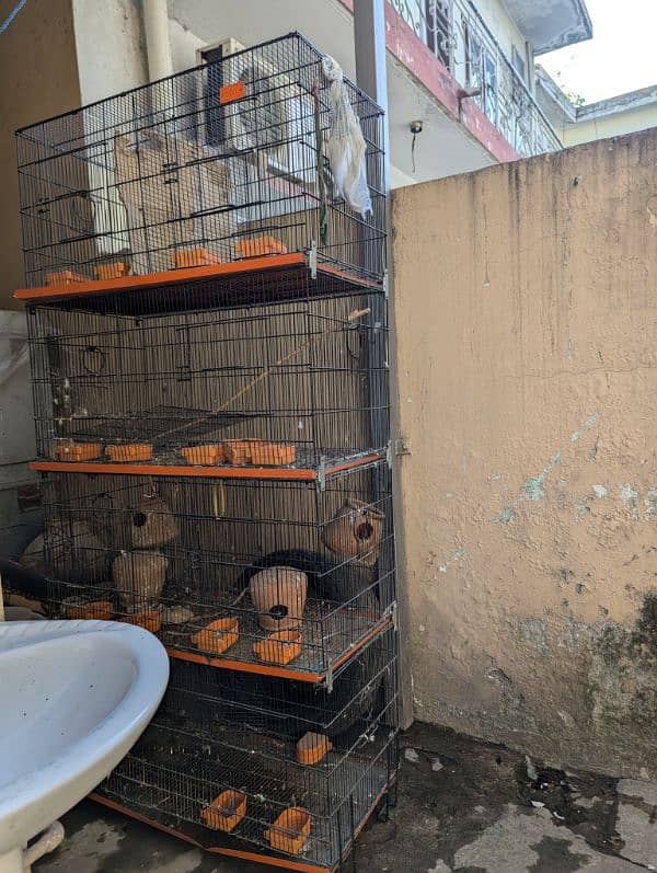 8 boxes cage 2