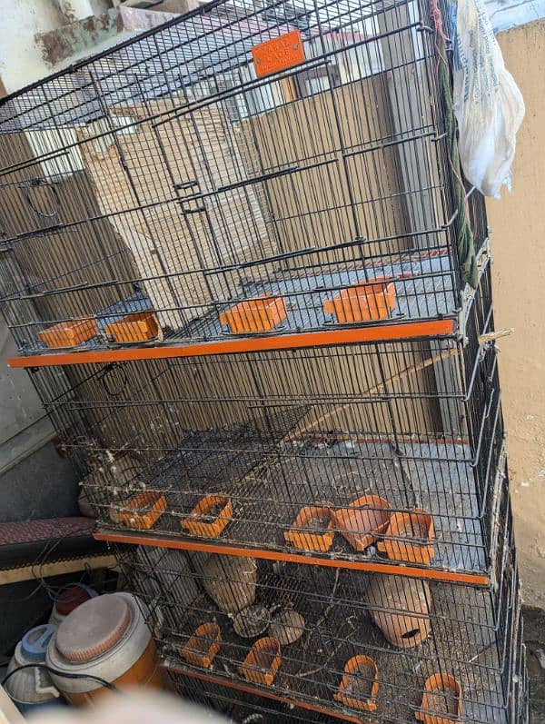 8 boxes cage 3