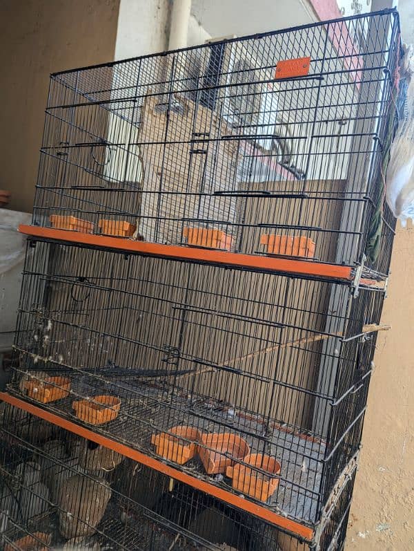 8 boxes cage 4