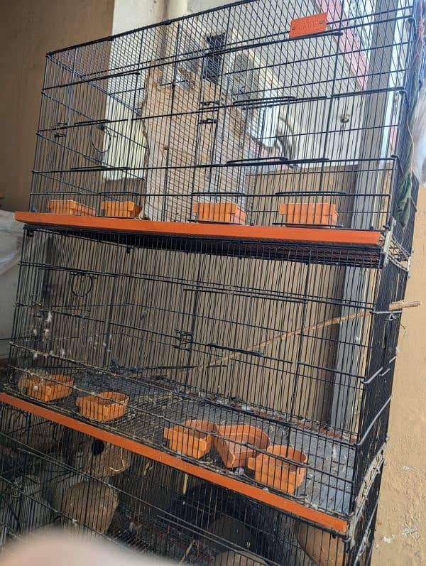 8 boxes cage 5