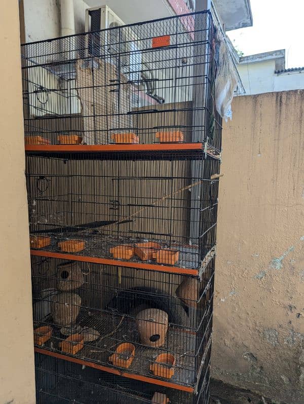 8 boxes cage 7