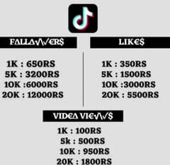 Audience TikTok or Instagram YouTube