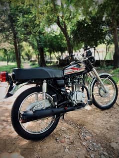 Honda 125 2019