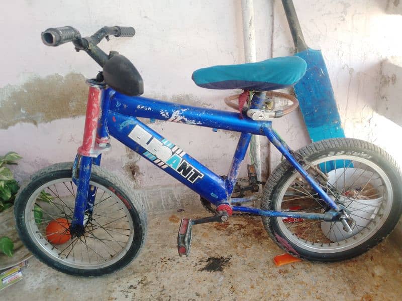 kid cycle available 4