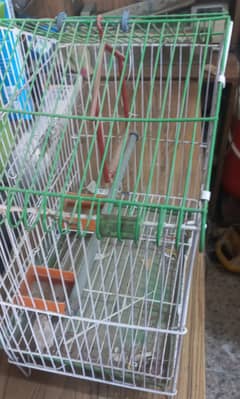 Parrots pinjra for sale