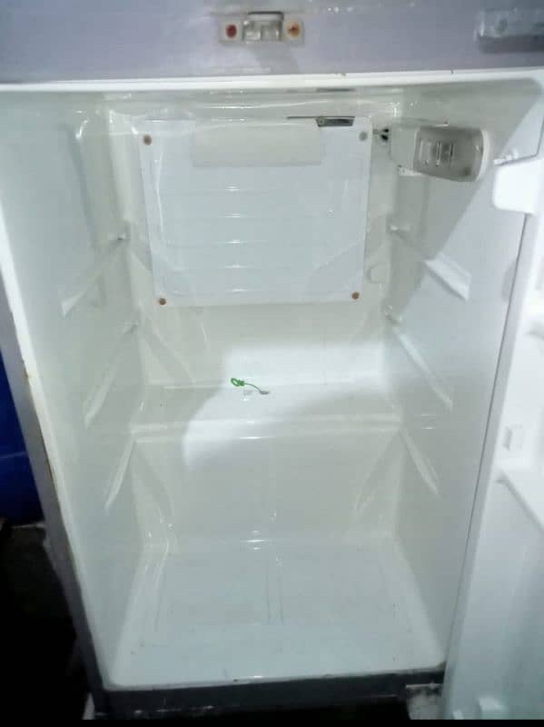 PEL Refrigerator 1