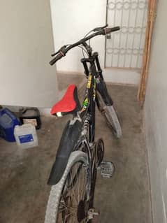 cycle for sale