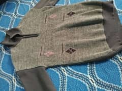 switer winter