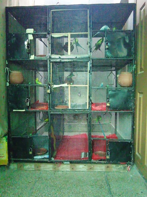 Cage For Sale 1