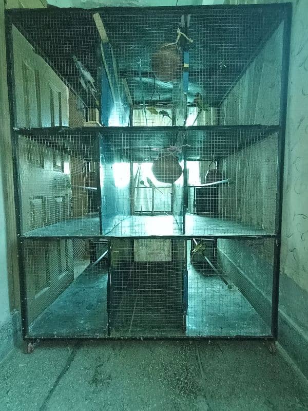 Cage For Sale 2