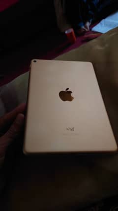 iPad mini 5