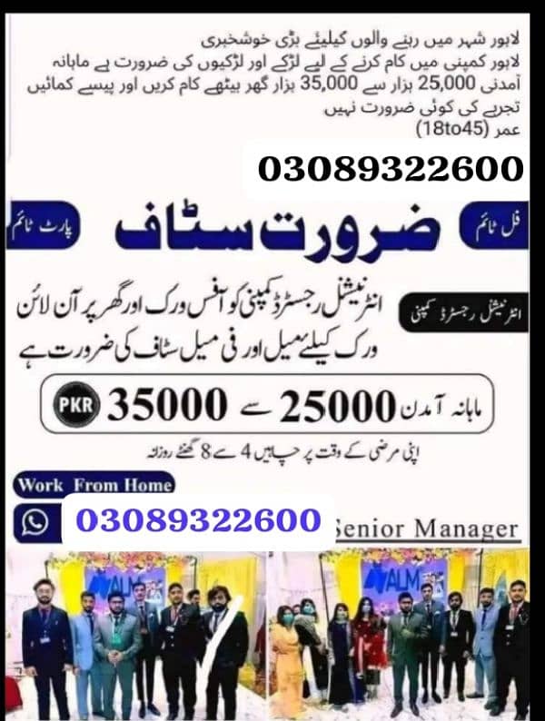 online work, office work, home base staff required 0