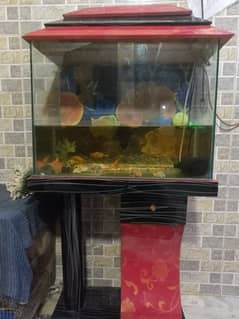 Aquarium