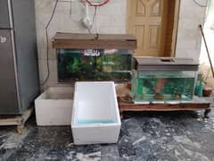 Aquariums With Fishes.