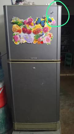 Pel Aspire fridge is available 0