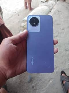 vivo