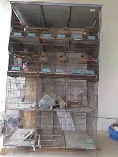 Birds metel cage 12 portion-moinabad model colony karachi