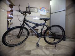 Full-Size Mountain Bike - Affordable Price, Minor Repairs Needed