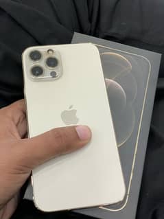 iphone 12 pro max Pta approved