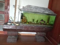 Glass aquarium with solid. wood stand