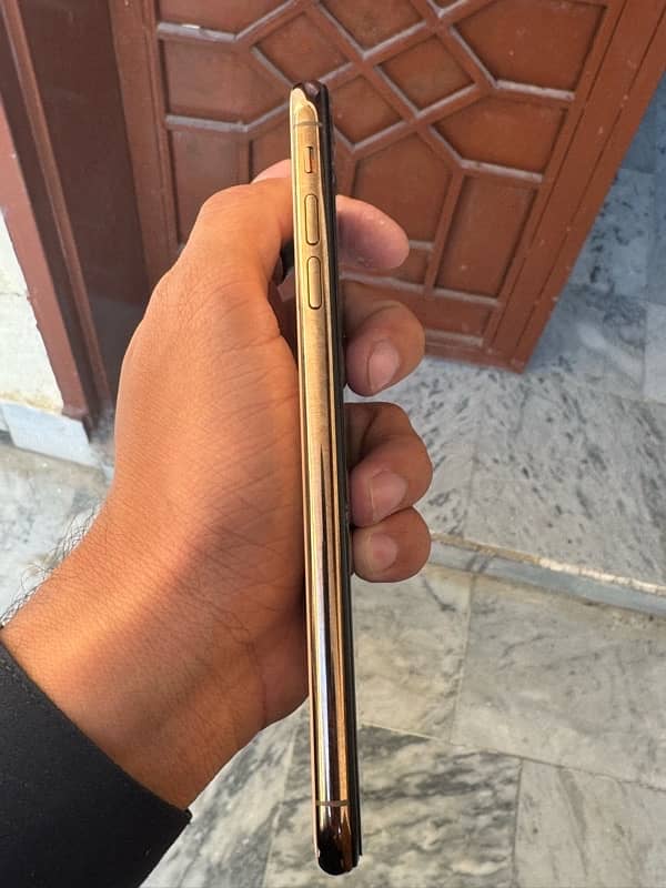 XS max golden 0