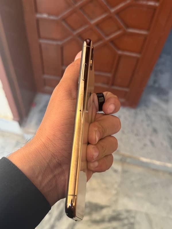 XS max golden 2