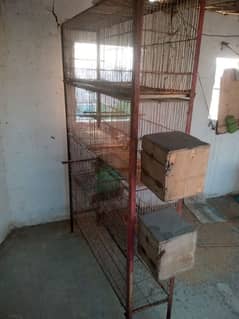 cage pinjra 8 portion of birds and complete pot and box