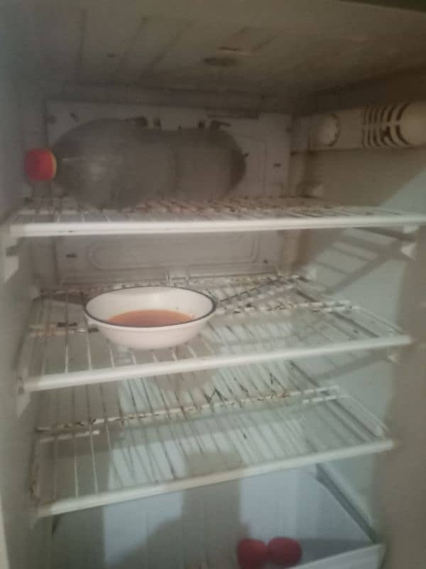 refrigerator 2