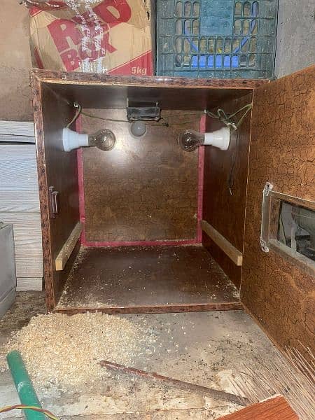 incubator/brooder for hens/peacock/pheasants eggs 1