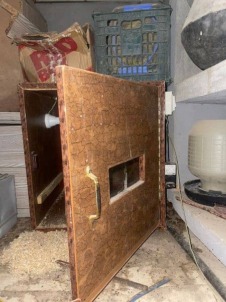 incubator/brooder for hens/peacock/pheasants eggs 2