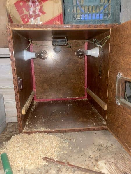 incubator/brooder for hens/peacock/pheasants eggs 5