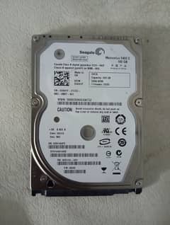 160GB Hard Disk 0