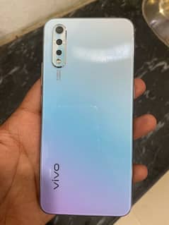 vivo