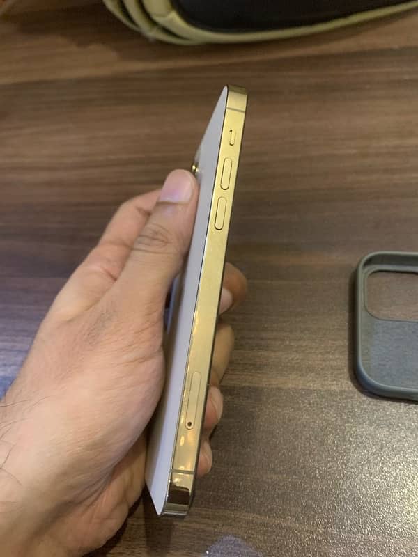 iPhone 12 pro 256GB 8 months warranty 10/10 9