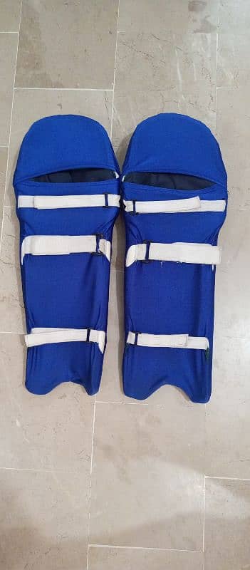 HARD BALL BATTING PADS 1