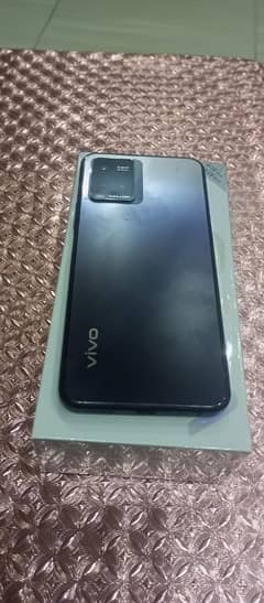 vivo